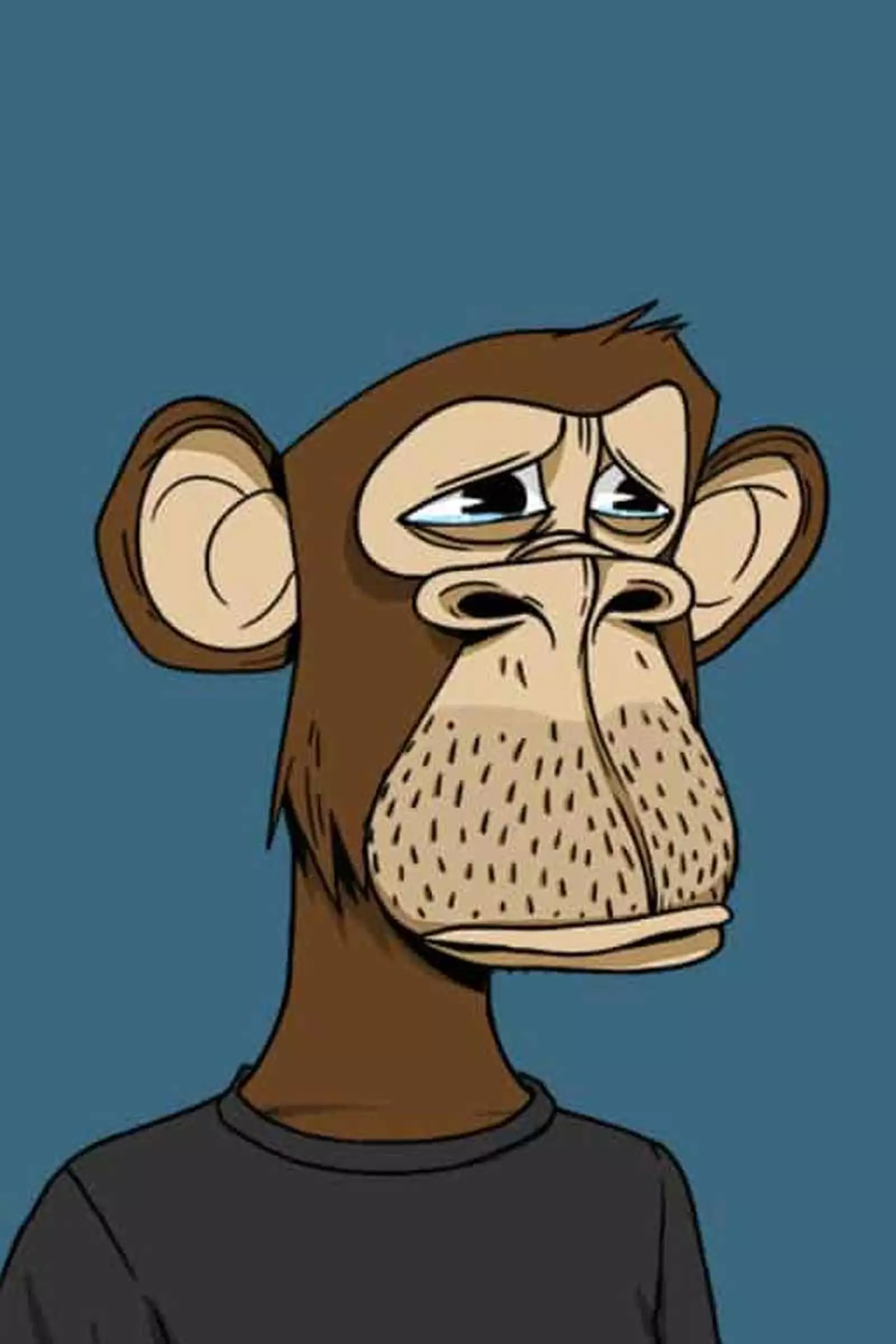 Sad Monkey